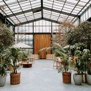 Plant Hire For Events | Hire Plants gallery detail image