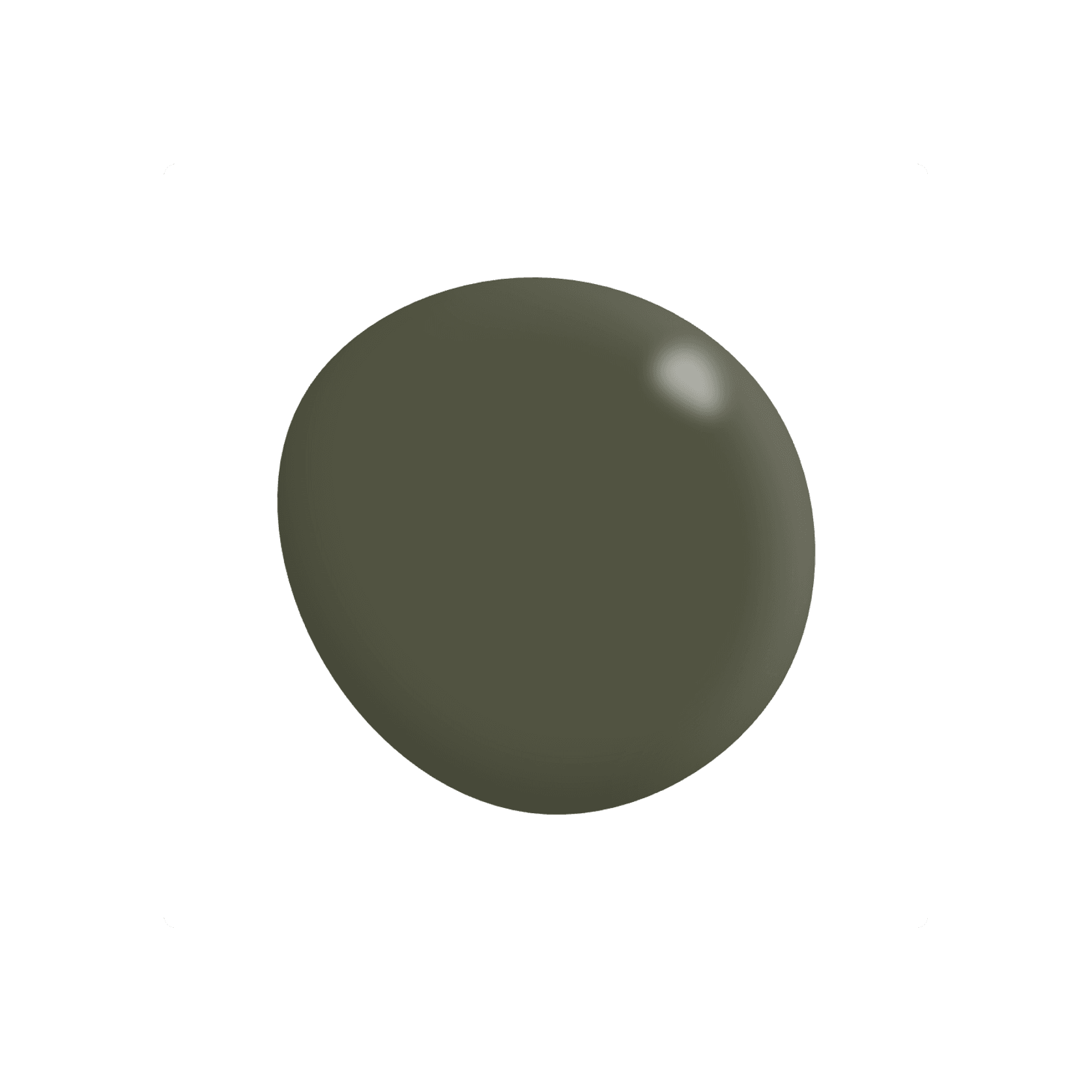 Taieri gallery detail image