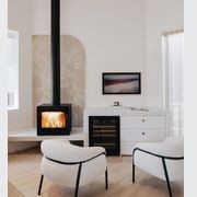 Escea TFS650 Freestanding Wood Fireplace gallery detail image