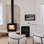 Escea TFS650 Freestanding Wood Fireplace gallery detail image