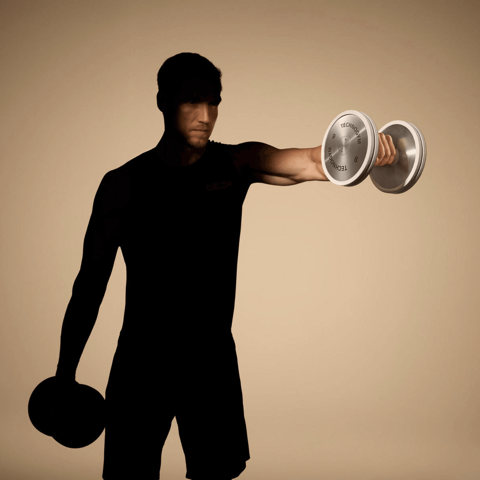 Luxury Dumbbells Personal - Sand Stone gallery detail image