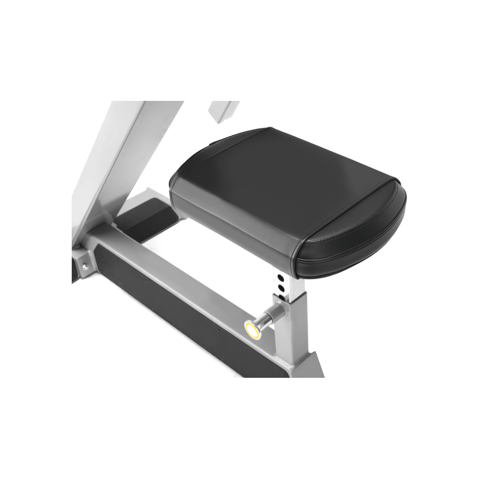 Preacher Curl gallery detail image