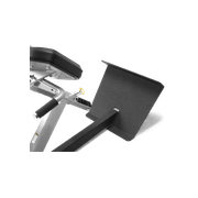 45° Back Extension gallery detail image