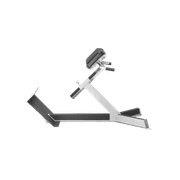 45° Back Extension gallery detail image