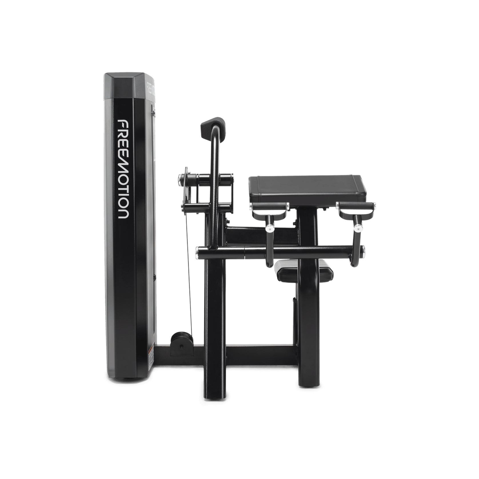 Biceps Curl gallery detail image