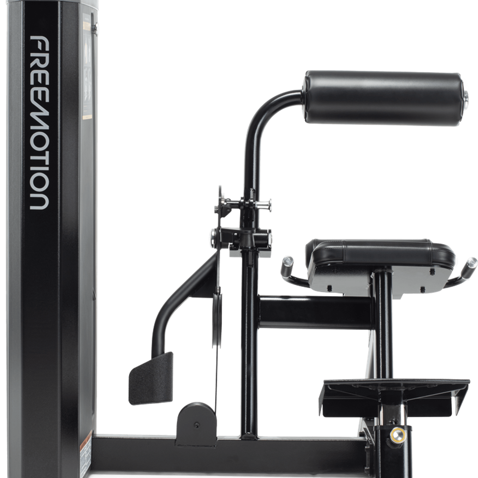 Back Extension gallery detail image