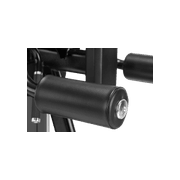 Lateral Raise gallery detail image