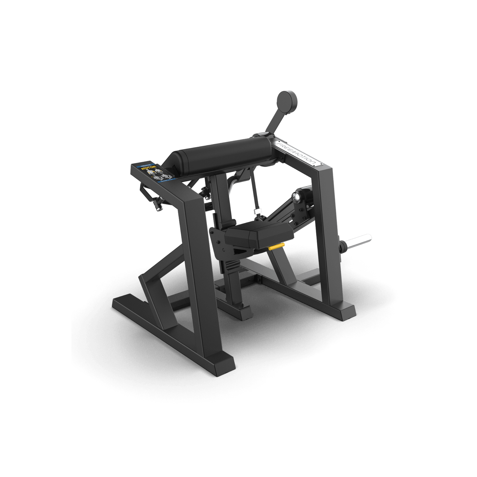 Biceps Curl gallery detail image