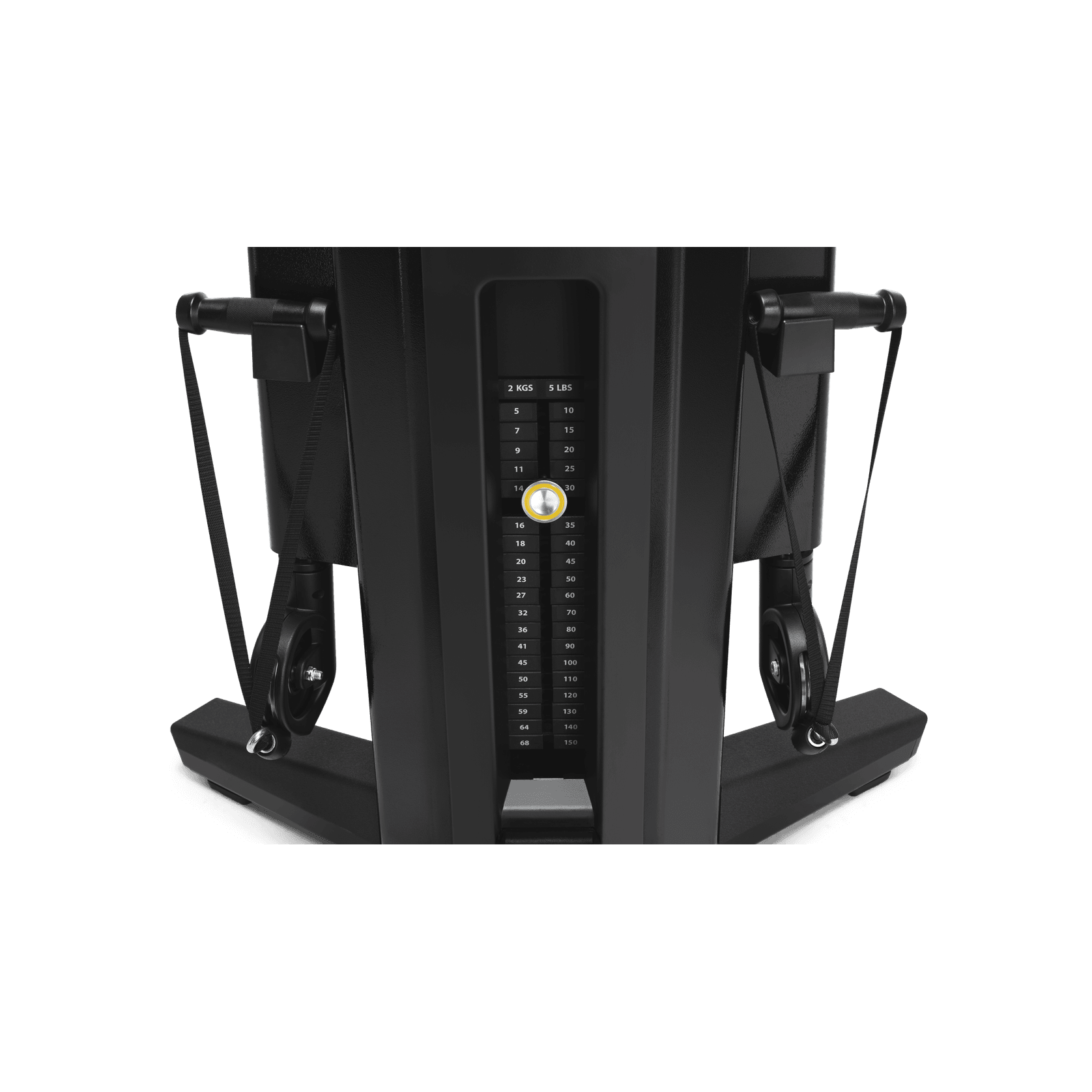 Biceps gallery detail image