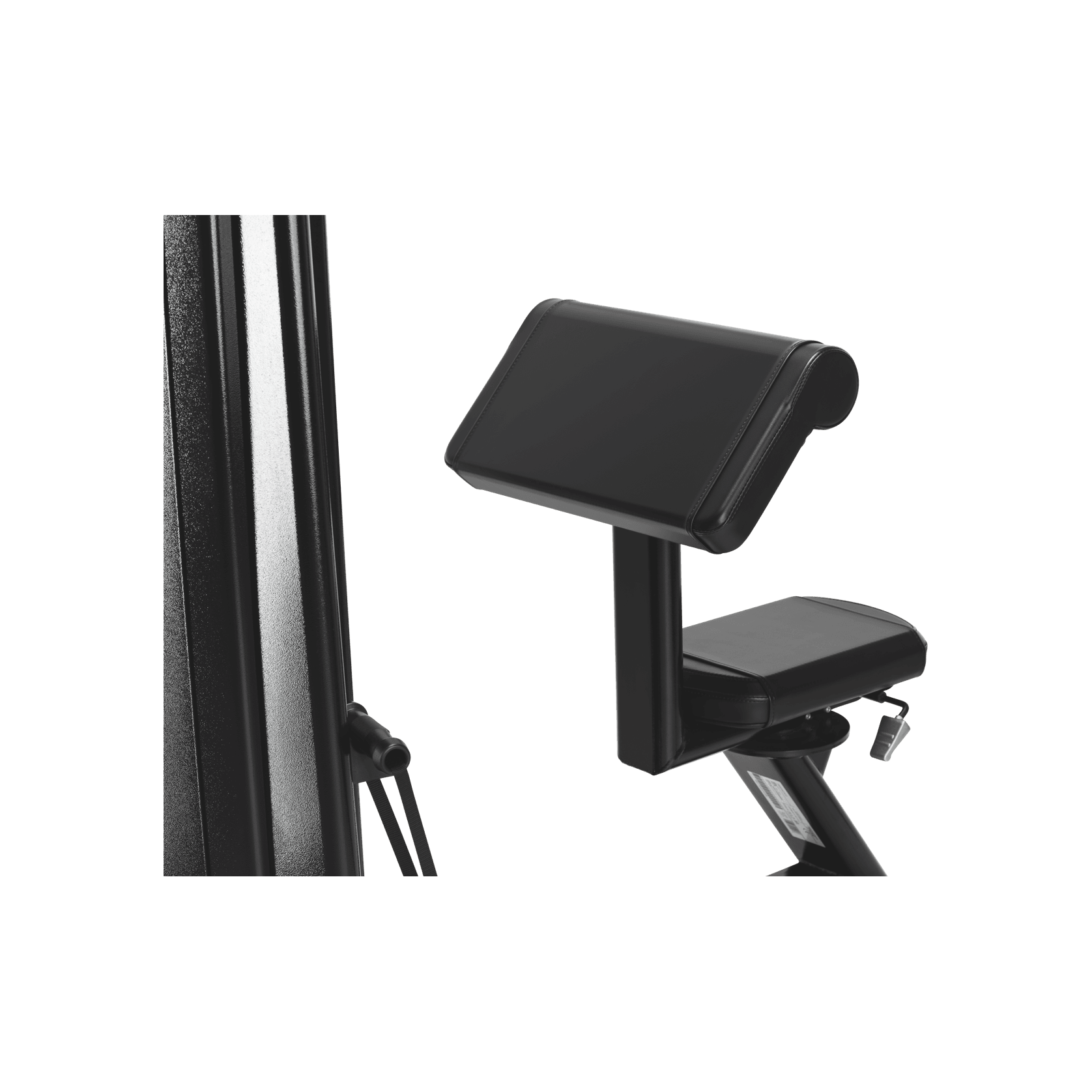 Biceps gallery detail image