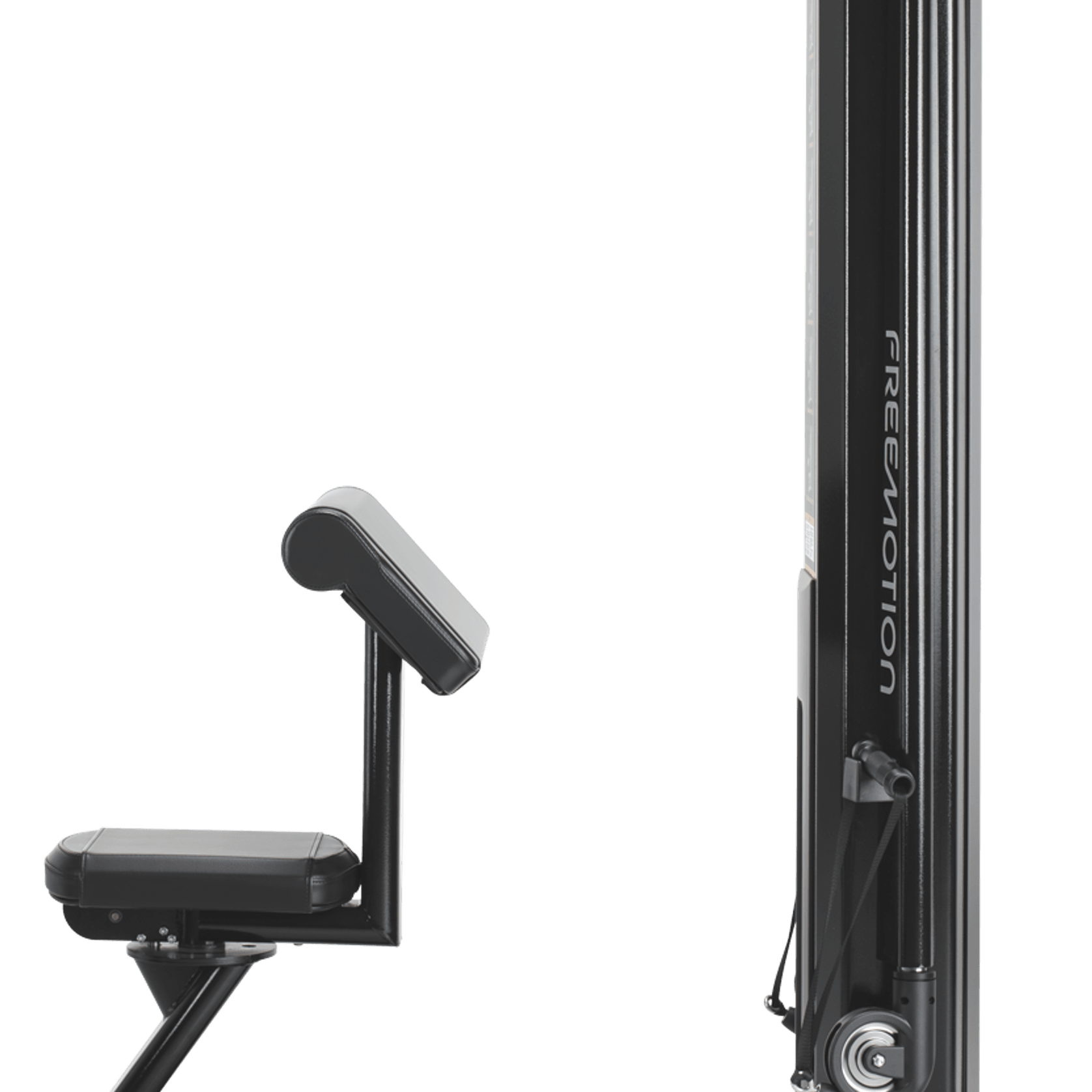 Biceps gallery detail image