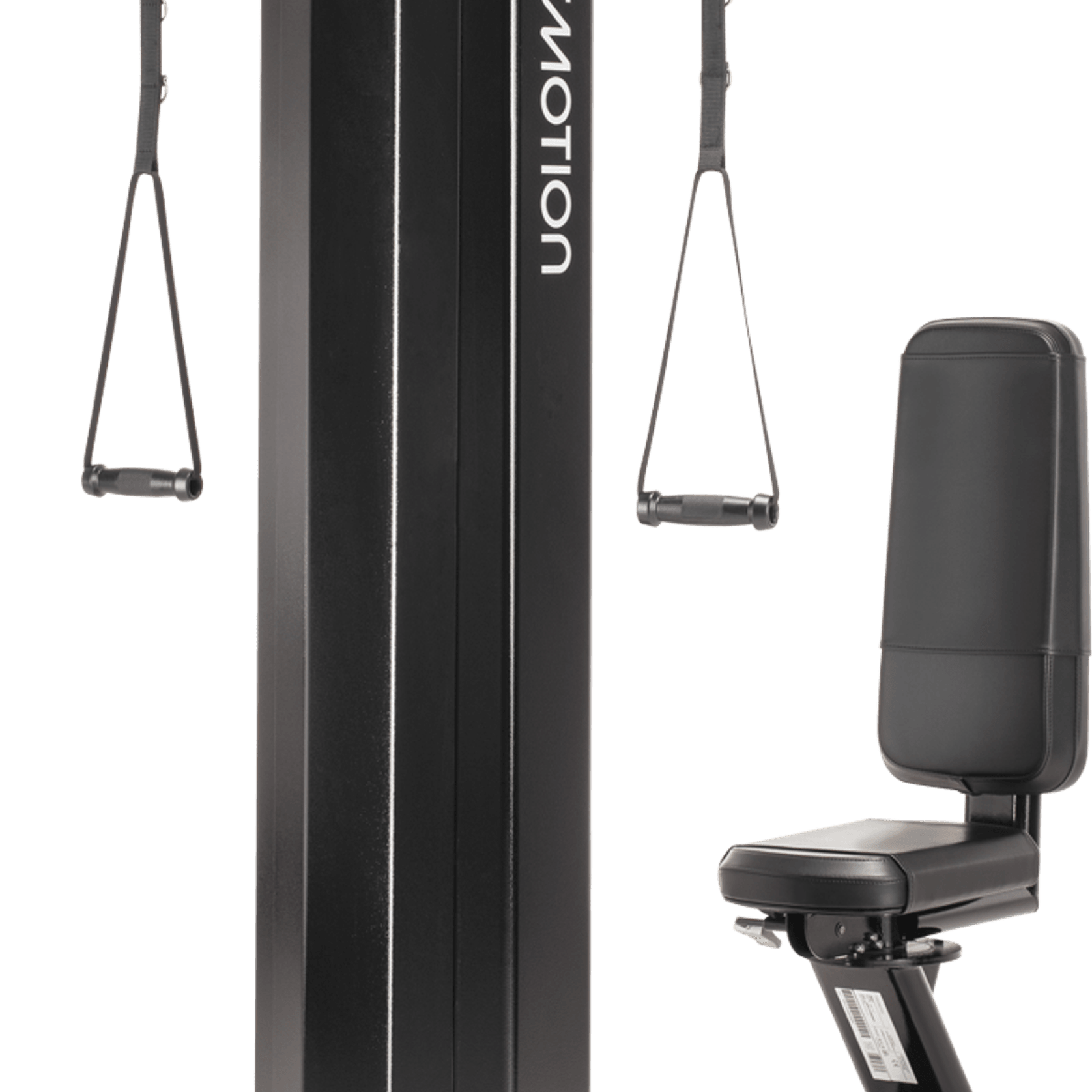 Triceps gallery detail image