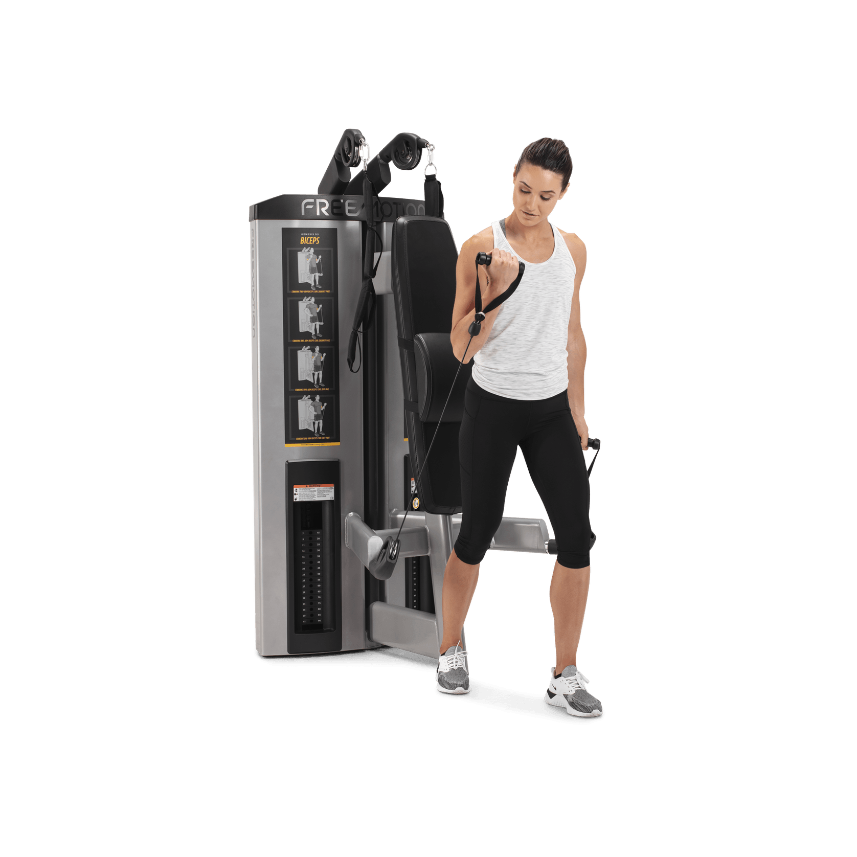 Abdominal / Biceps gallery detail image