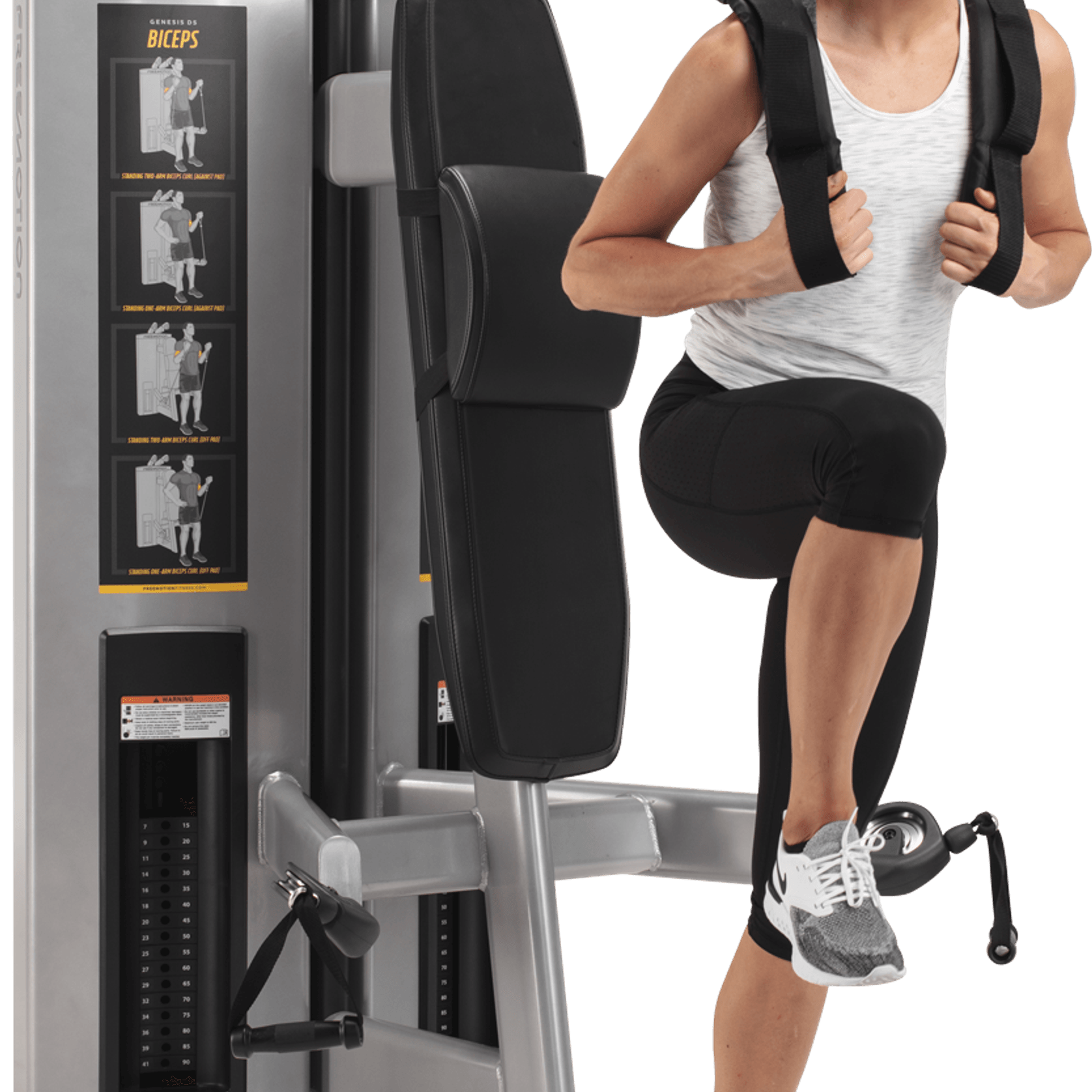 Abdominal / Biceps gallery detail image