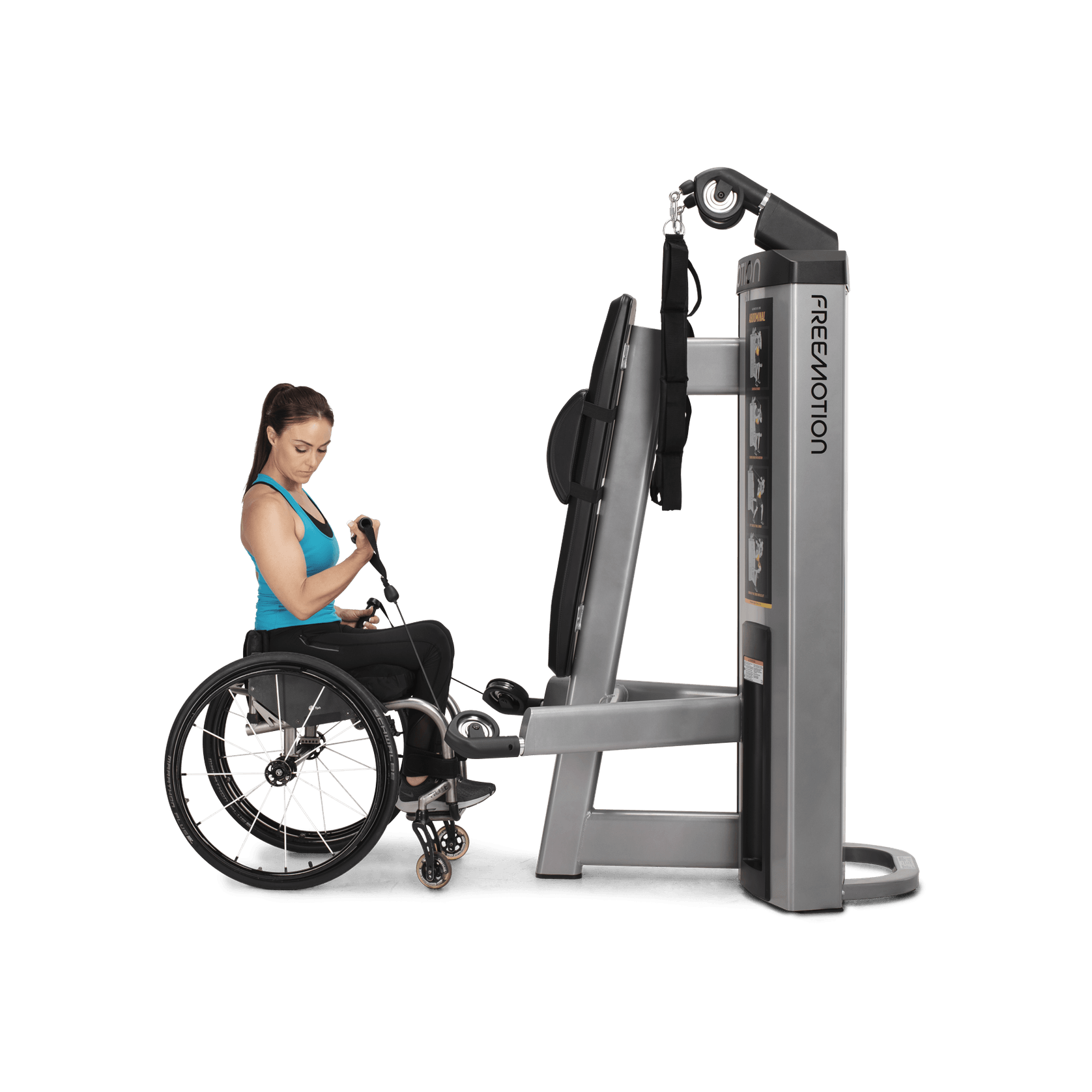 Abdominal / Biceps gallery detail image