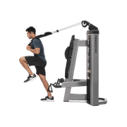 Abdominal / Biceps gallery detail image