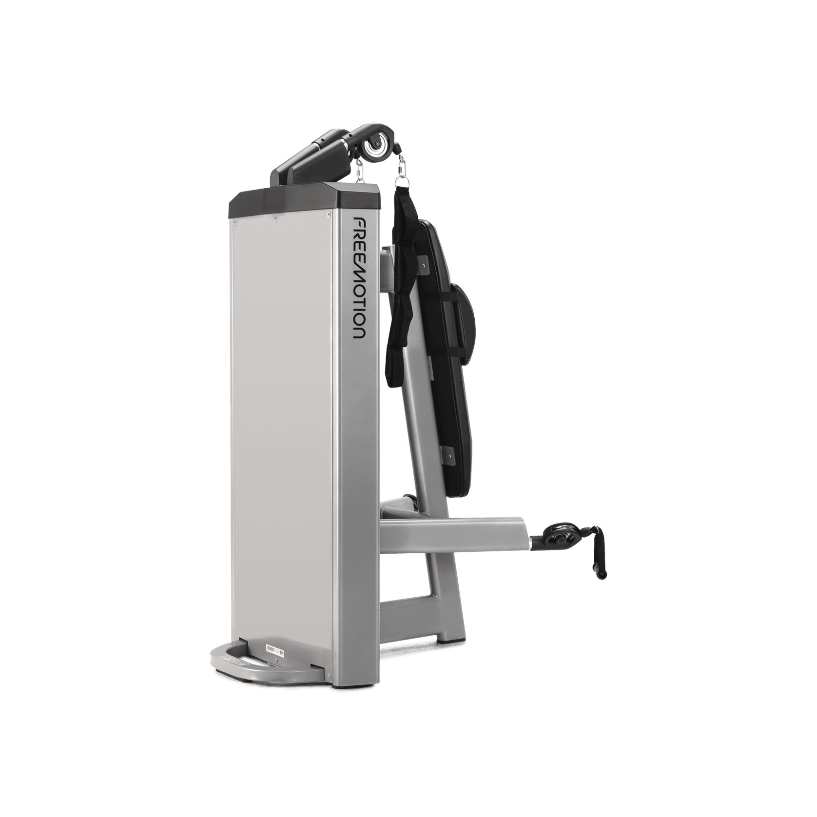 Abdominal / Biceps gallery detail image