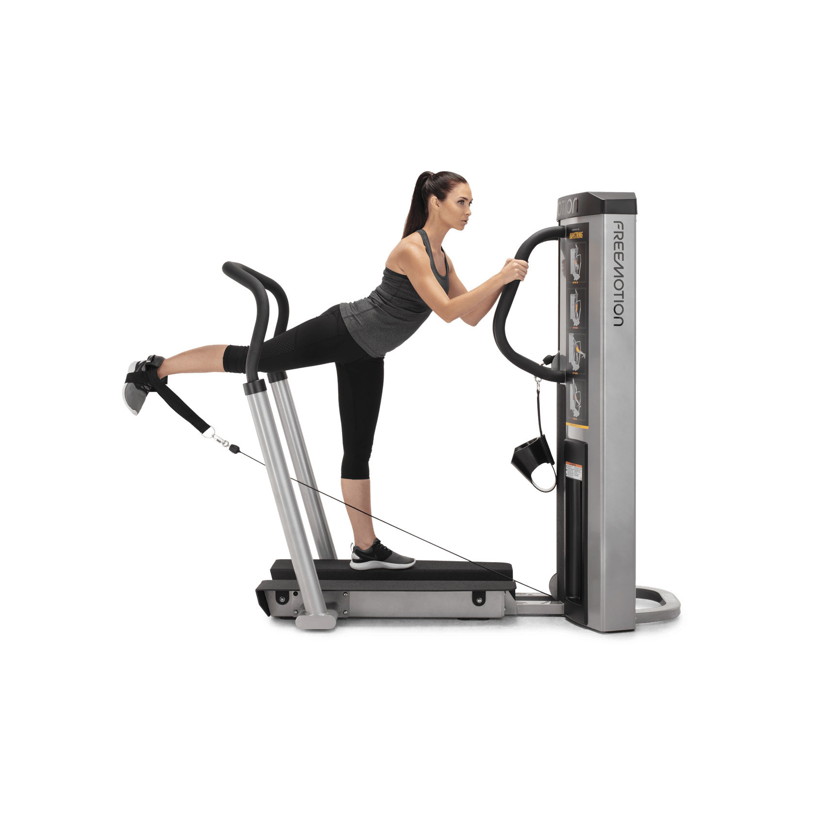 Quad / Hamstring gallery detail image