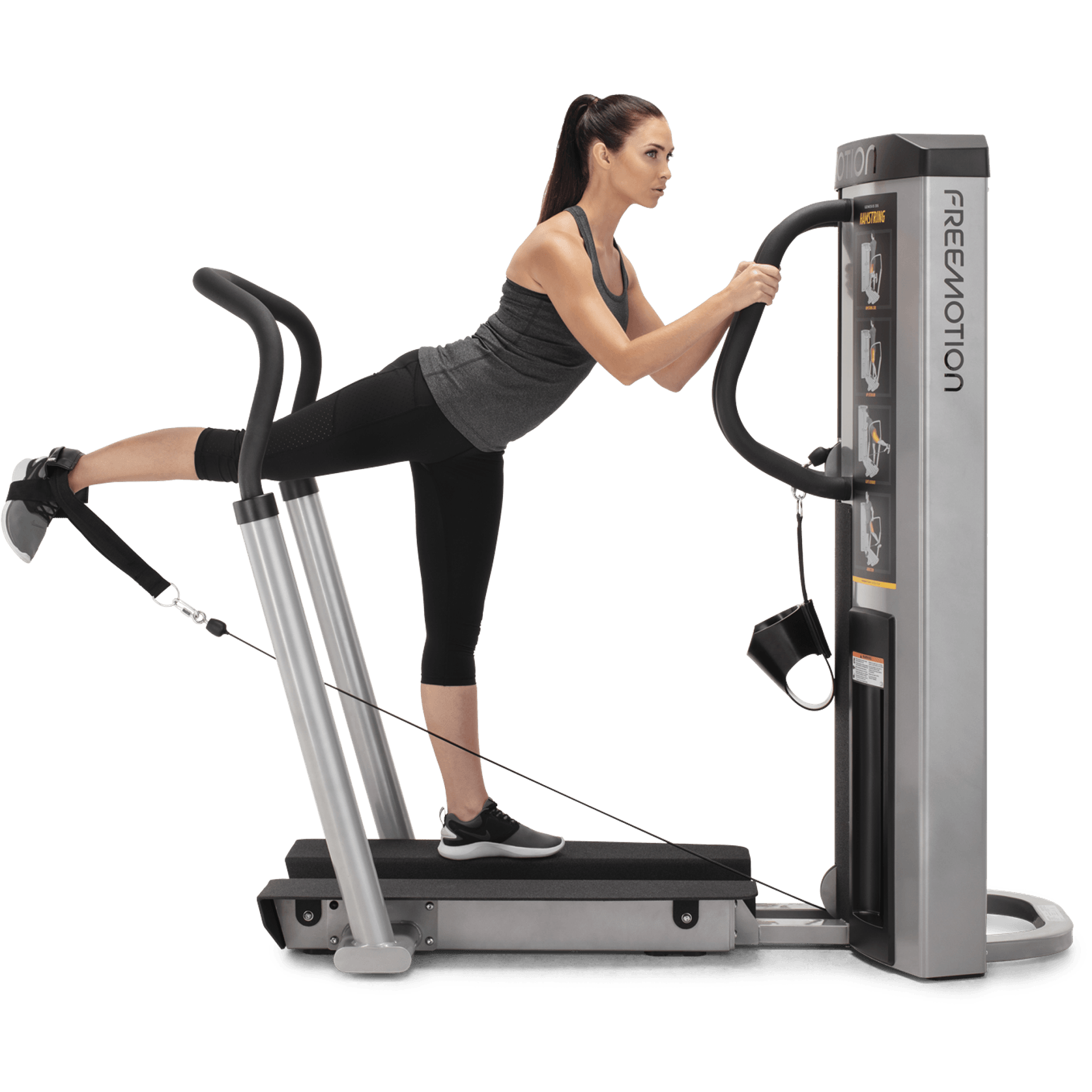 Quad / Hamstring gallery detail image