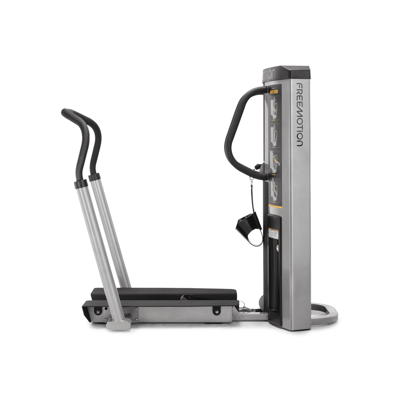 Quad / Hamstring gallery detail image