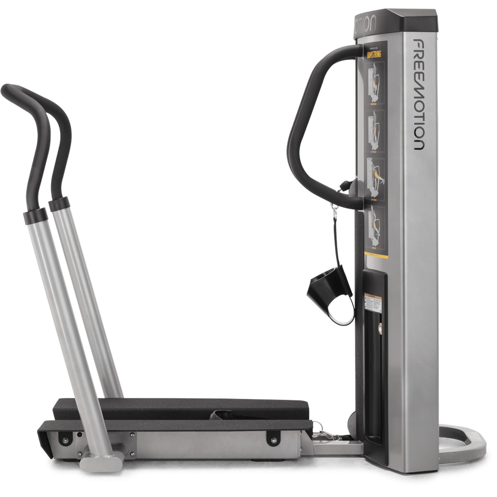 Quad / Hamstring gallery detail image