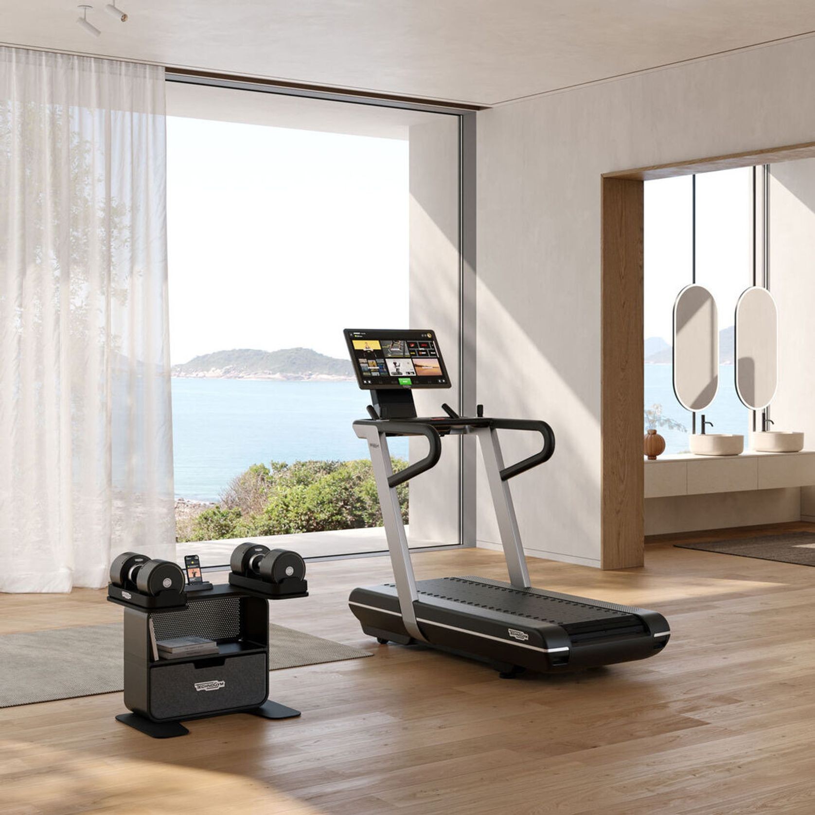 Connected Dumbbells gallery detail image