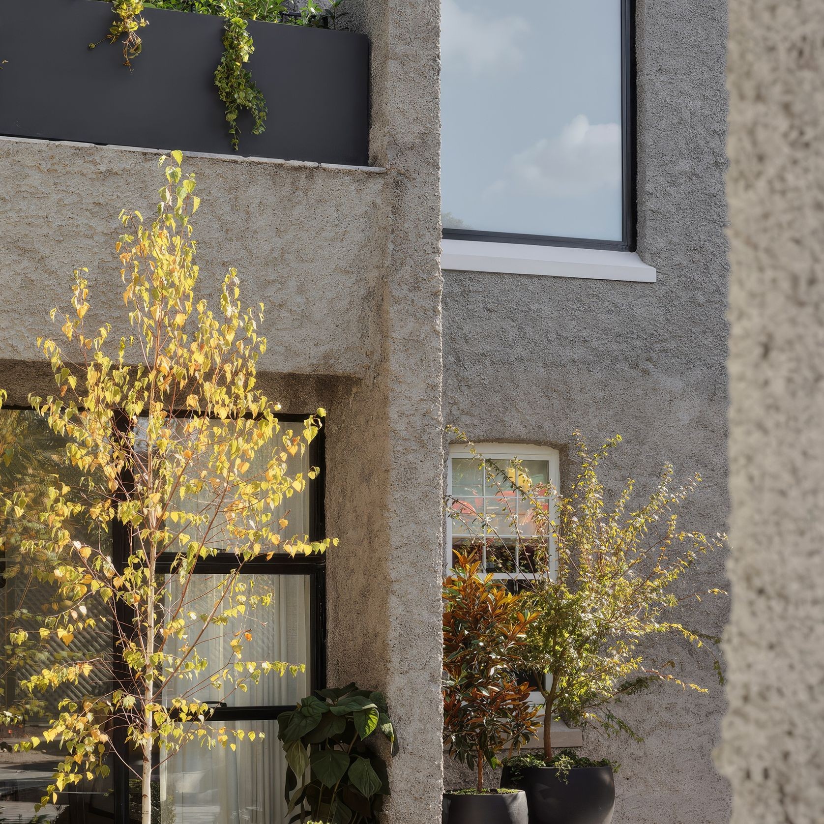 Steel Frame Fixed Windows – Galvanised W40 gallery detail image
