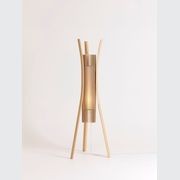 iO Peel gallery detail image