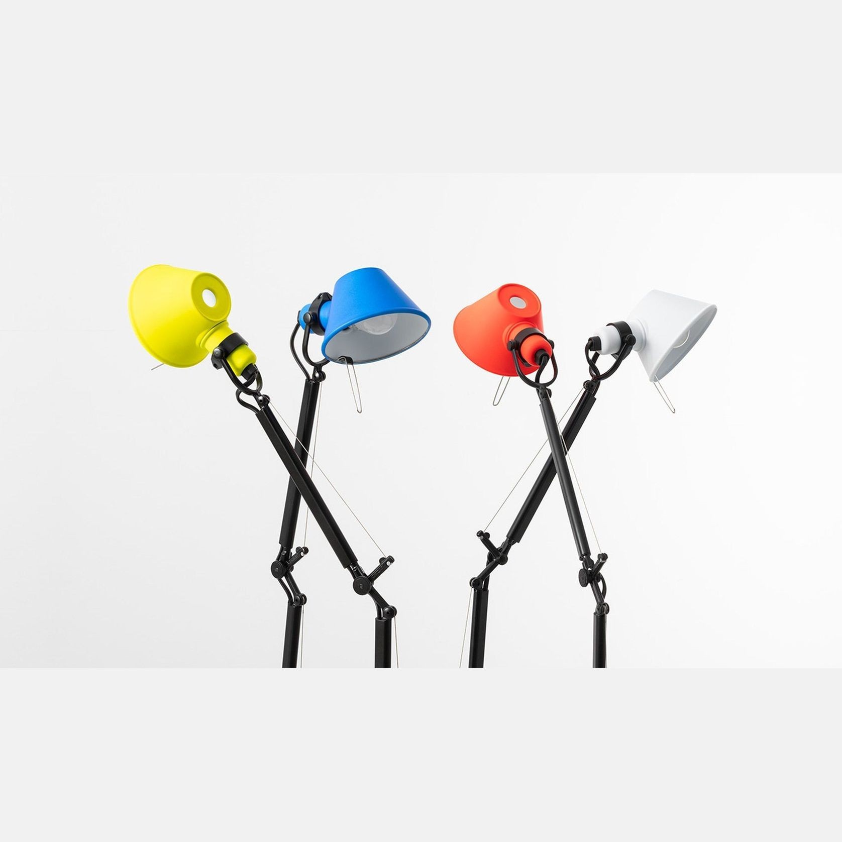 Tolomeo Micro Bicolour gallery detail image