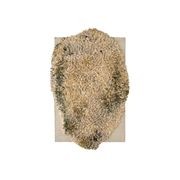 Alga Collection gallery detail image