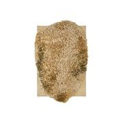 Alga Collection gallery detail image