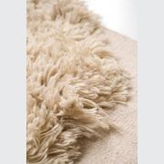 Alga Collection gallery detail image