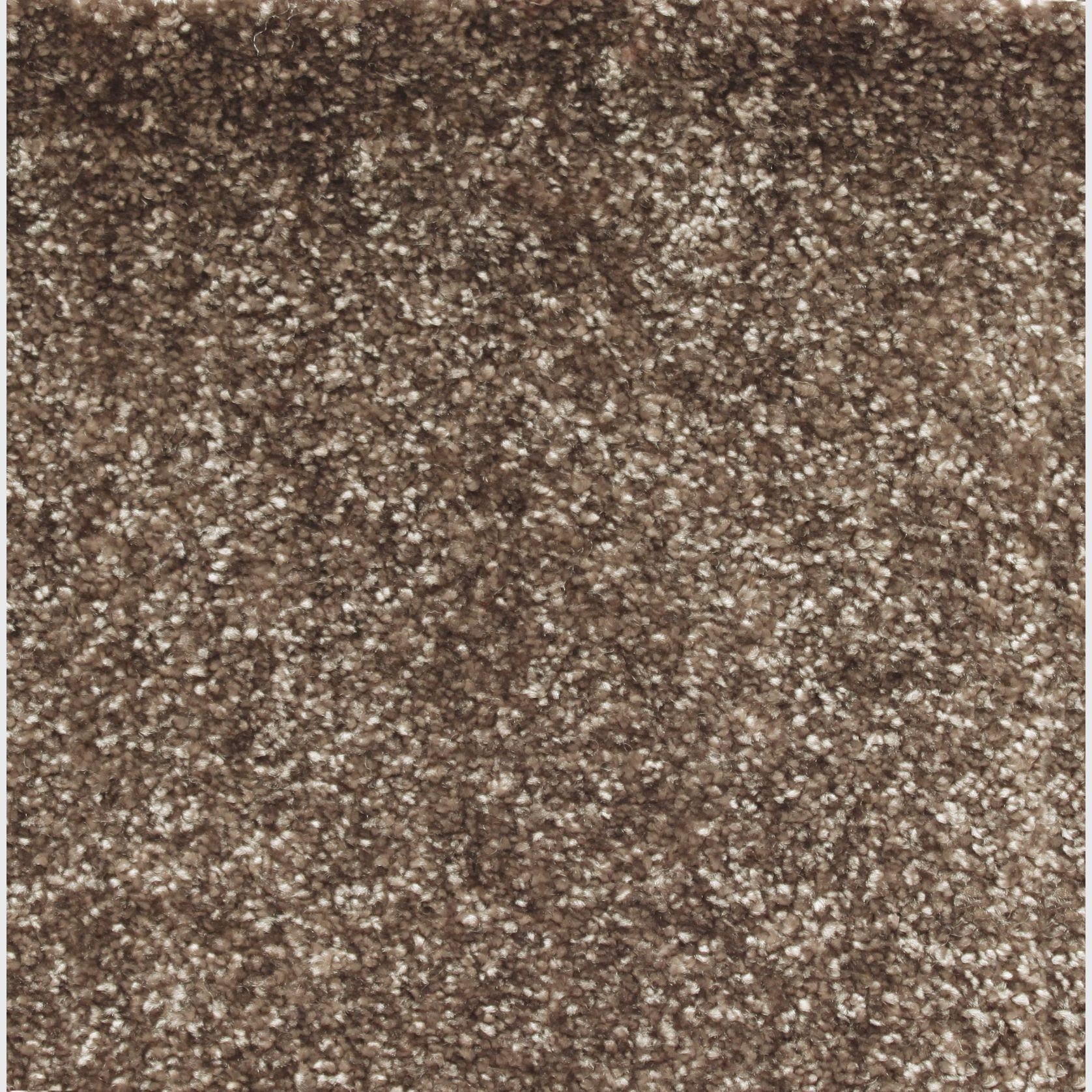 Hermelin gallery detail image