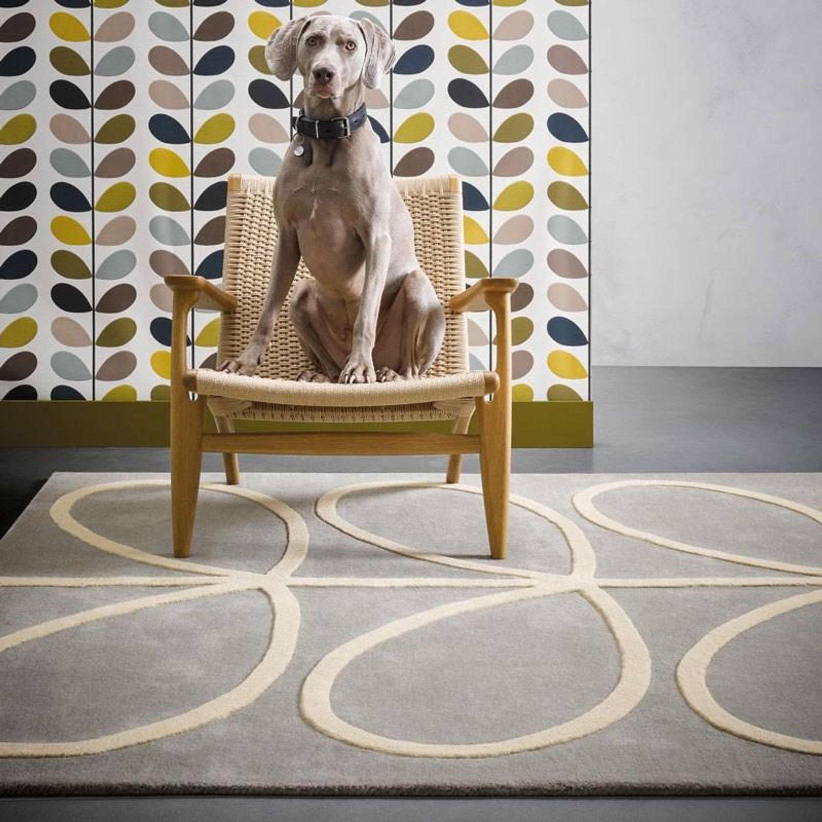 Orla Kiely Giant Linear Stem Rug - Grey | 100% Wool Designer Floor Rug gallery detail image