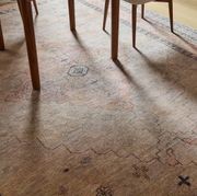 Azalea Reversible Persian Rug gallery detail image