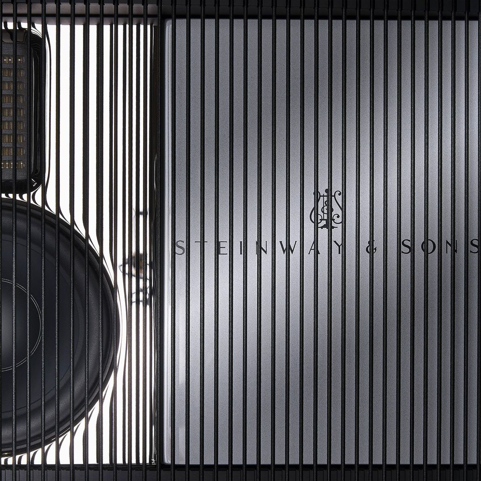 Steinway Lyngdorf Model B Floor Standing Speakers gallery detail image