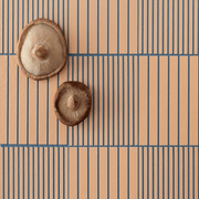 Mutina – Fringe Wall and Floor Tile gallery detail image
