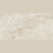 Diva Taj Mahal Satin | 60x120 gallery detail image