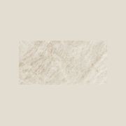 Diva Taj Mahal Satin | 60x120 gallery detail image