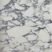 Arabescato Corchia Marble gallery detail image