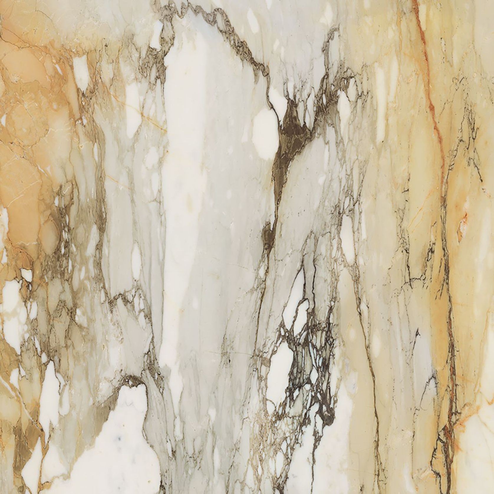 Bianco | Floor and Wall Tiles gallery detail image