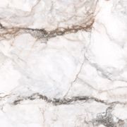 Pisa Gold Wall and Floor Tiles gallery detail image