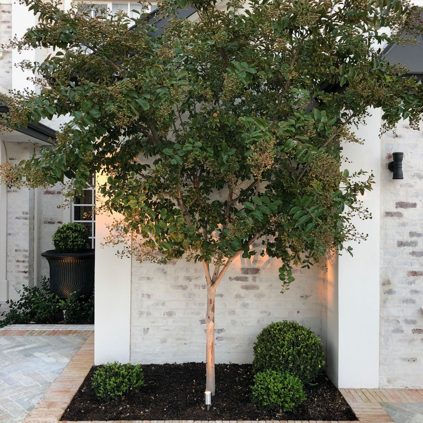 Eco Outdoor  Cotto Terracotta Flooring gallery detail image