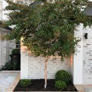 Eco Outdoor  Cotto Terracotta Flooring gallery detail image