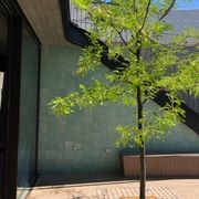 Eco Outdoor  Hand Pressed Cement Tiles gallery detail image