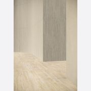 I Trav Beige Vein Matt 60x120 gallery detail image
