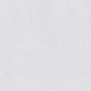 Wild Gloss 500x500 gallery detail image