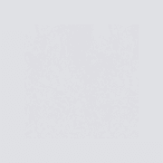 Wild Gloss 500x500 gallery detail image