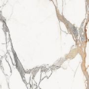 Les Origines de Rex Floor & Wall Tile gallery detail image