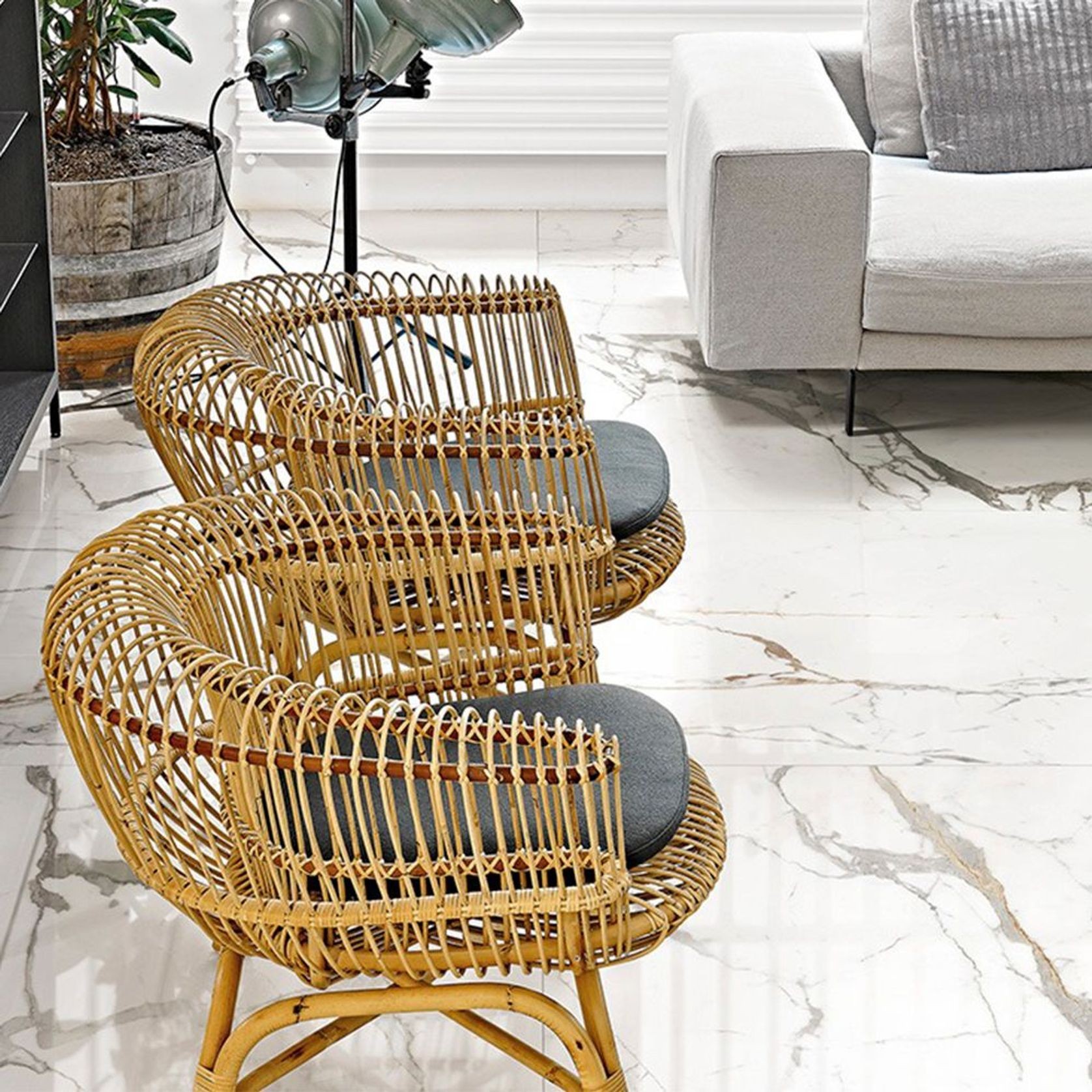 Les Origines de Rex Floor & Wall Tile gallery detail image